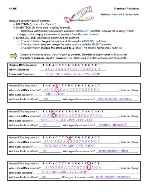 dna mutations practice worksheet answers